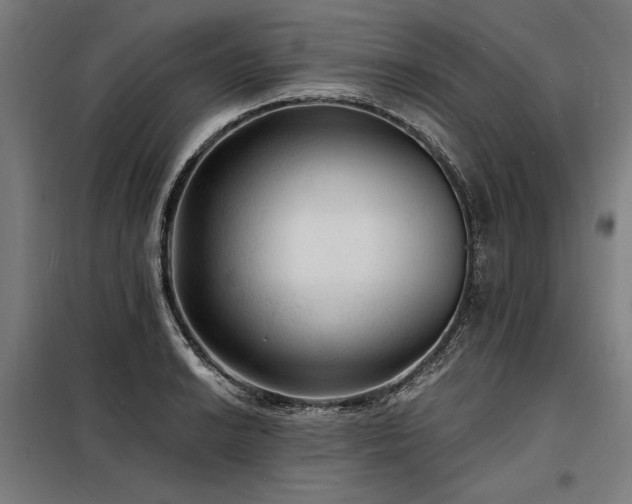 X0000098171038200804241151