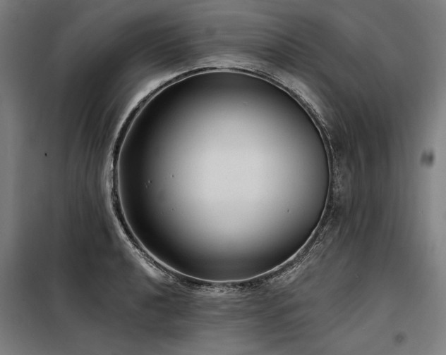 X0000098171040200804241151