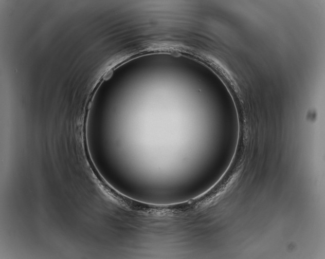 X0000098171041200804241151