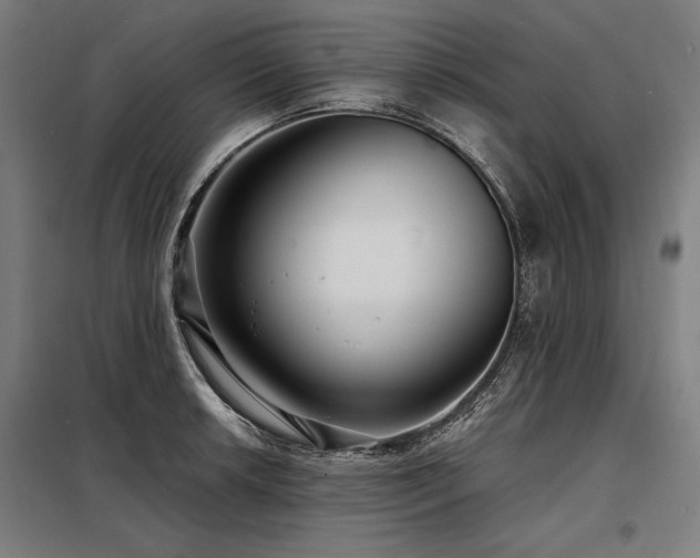 X0000098171042200804241151