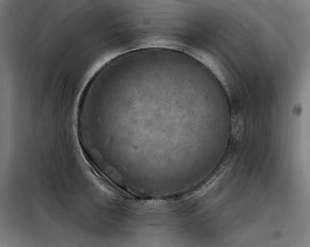 X0000098171043200804241151