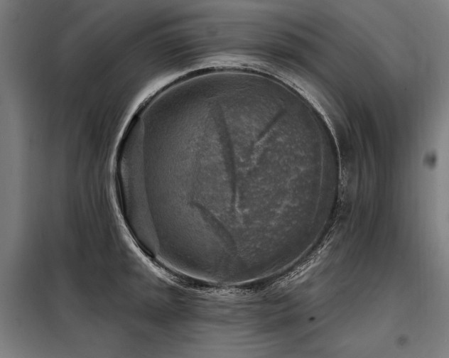 X0000098171045200804241151