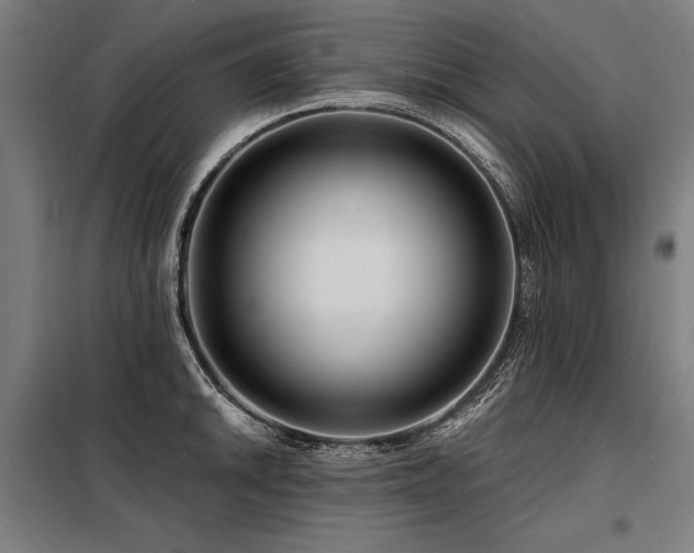 X0000098171046200804241151