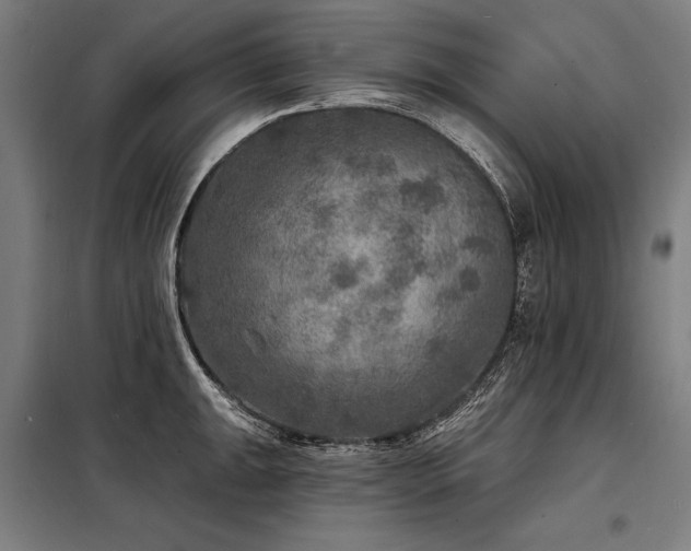 X0000098171047200804241151