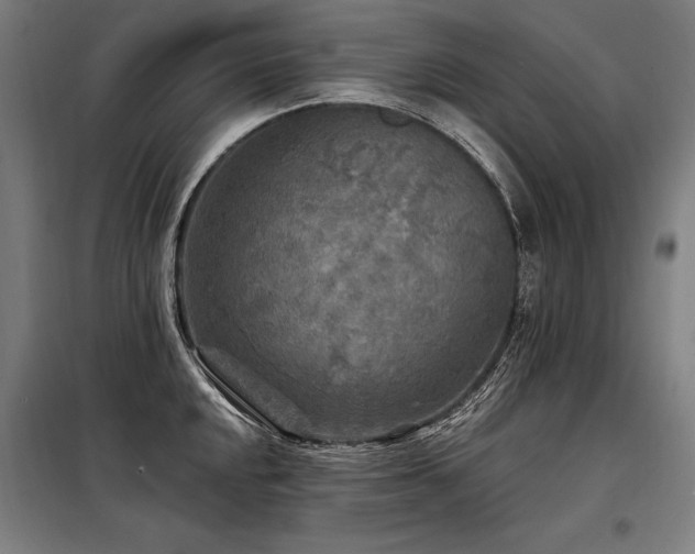 X0000098171048200804241151