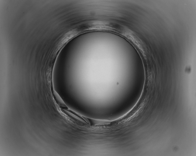 X0000098171049200804241151