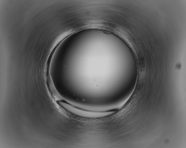 X0000098171050200804241151