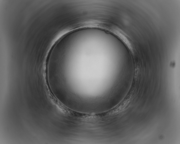 X0000098171051200804241151