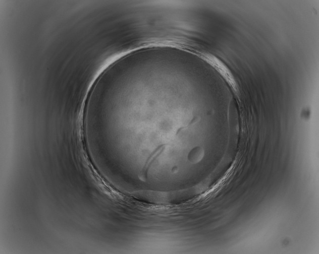 X0000098171052200804241151