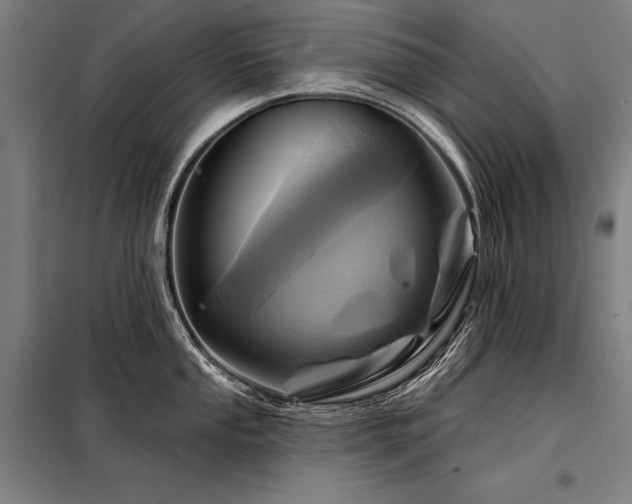 X0000098171053200804241151