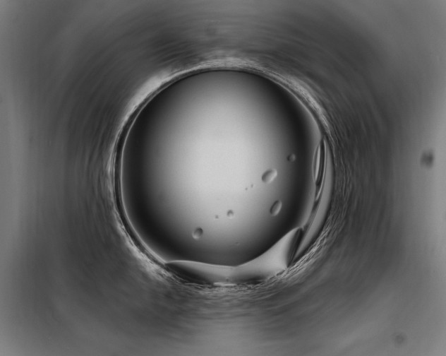 X0000098171054200804241151