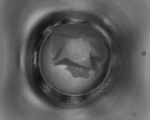 X0000098171055200804241151