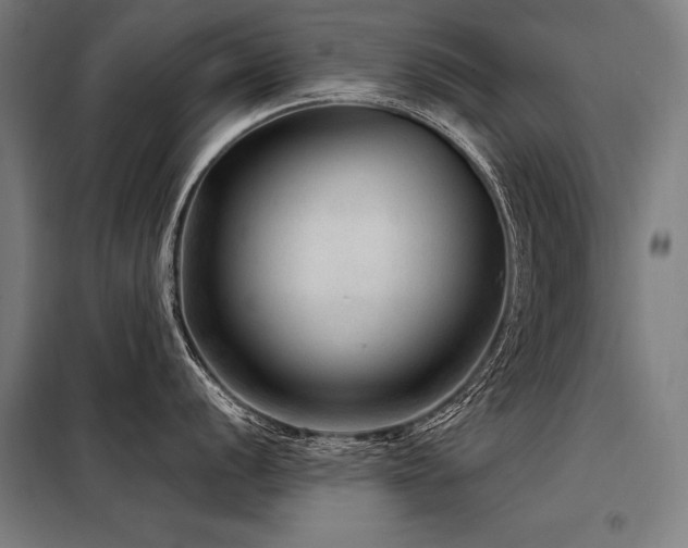 X0000098171056200804241151