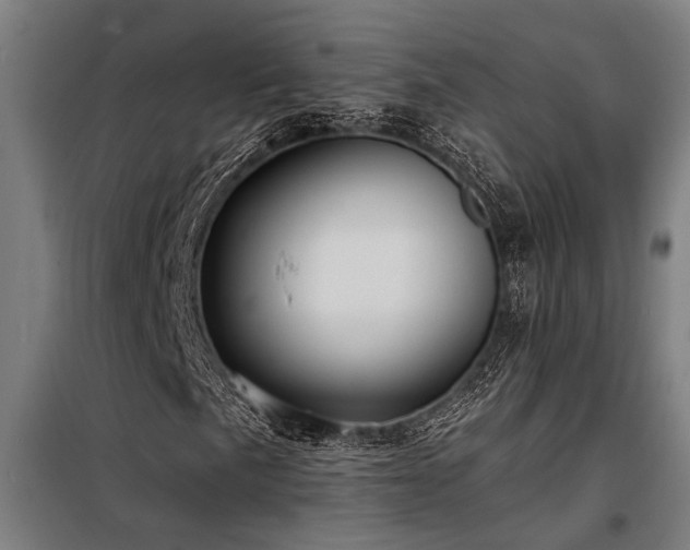 X0000098171057200804241150