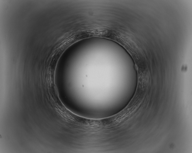 X0000098171058200804241150
