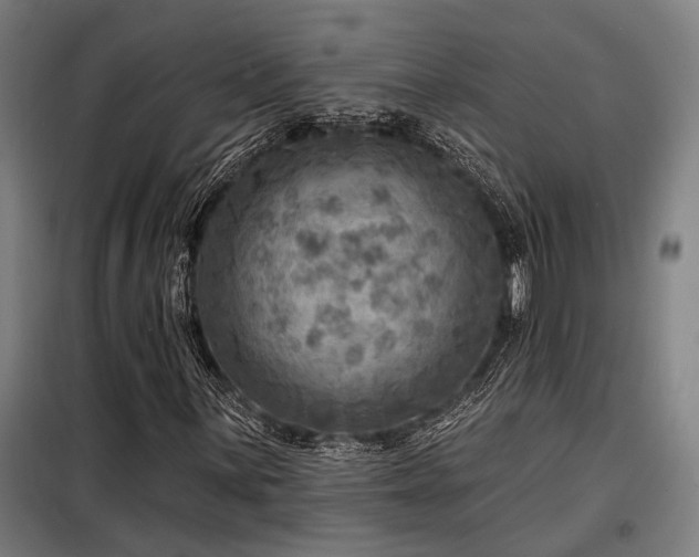 X0000098171059200804241150