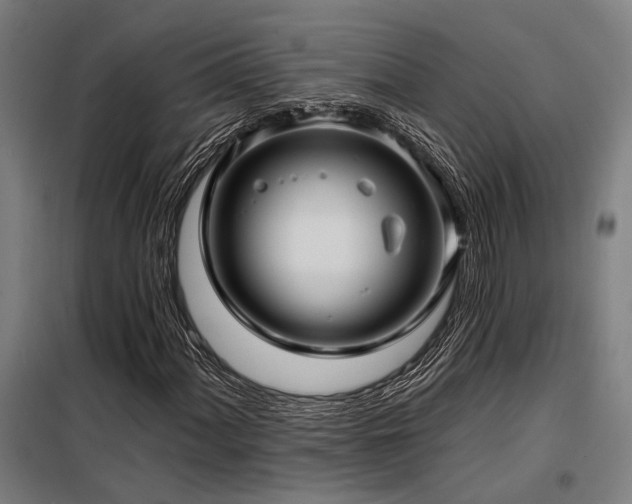 X0000098171060200804241150