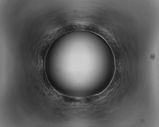 X0000098171061200804241150