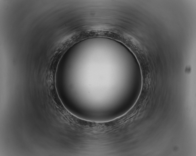 X0000098171062200804241150