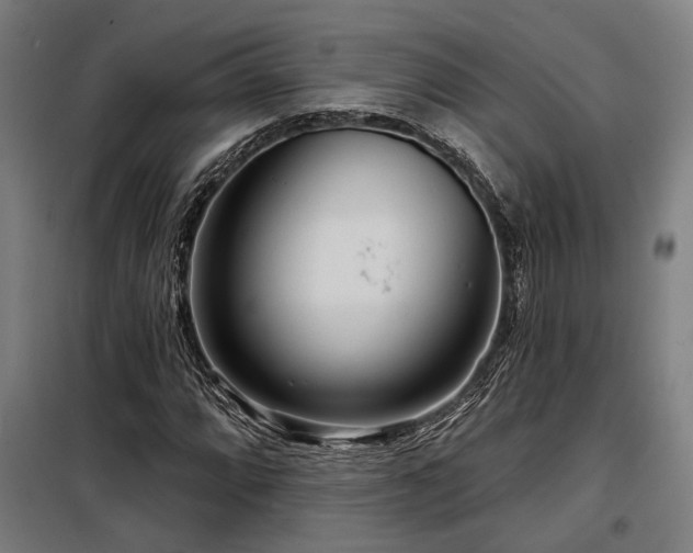 X0000098171064200804241150