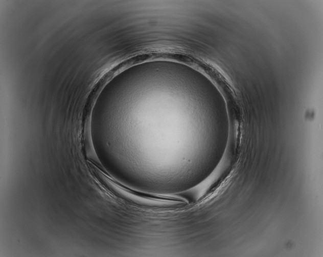 X0000098171065200804241150