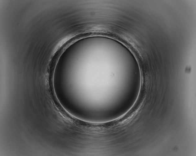 X0000098171066200804241150