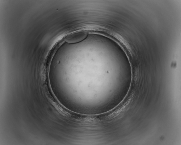 X0000098171067200804241150
