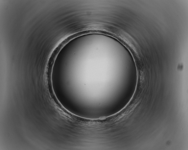 X0000098171068200804241150