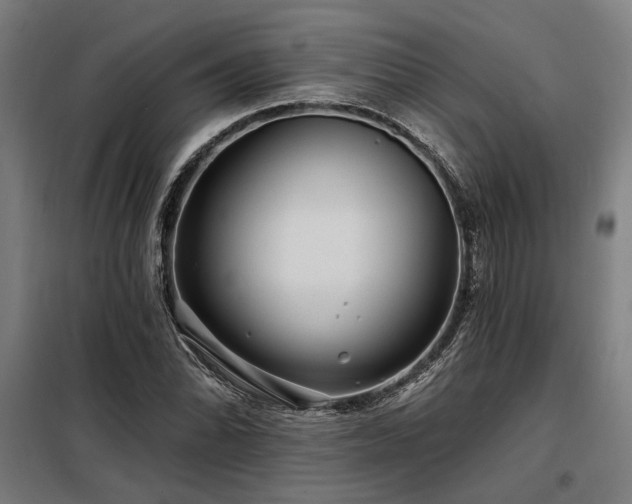 X0000098171070200804241150