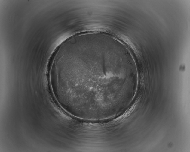 X0000098171071200804241150