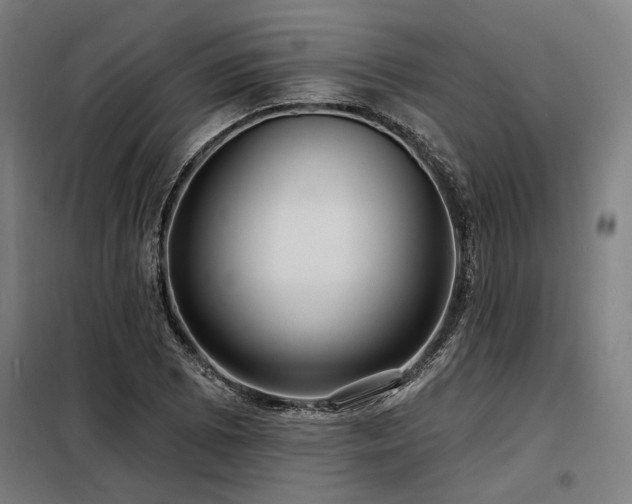 X0000098171073200804241150