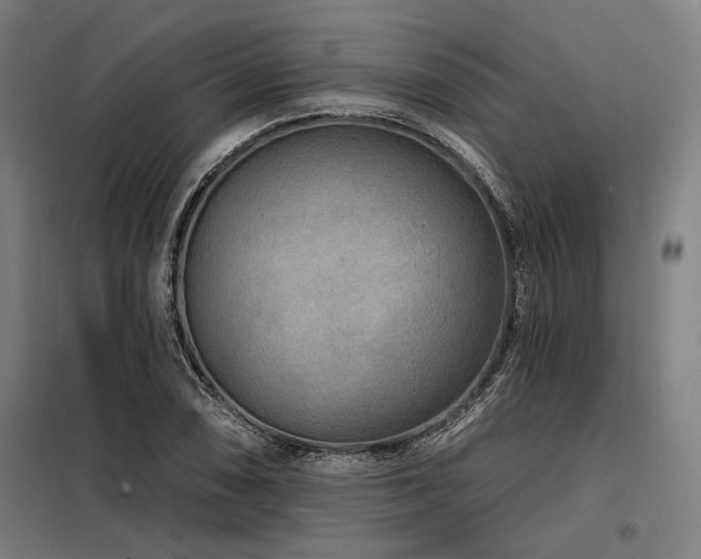 X0000098171074200804241150