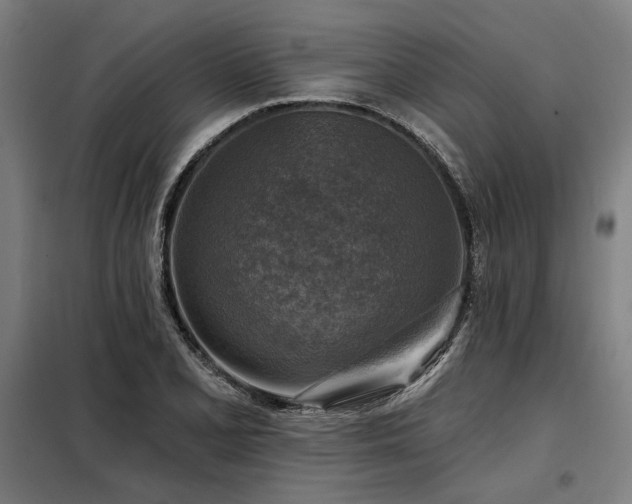 X0000098171077200804241150