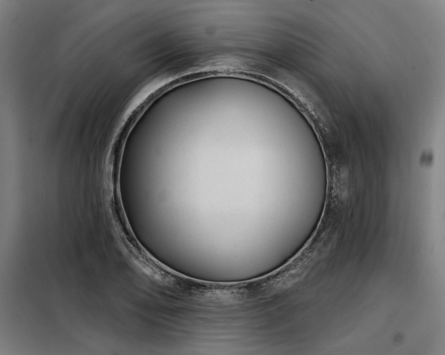 X0000098171078200804241150