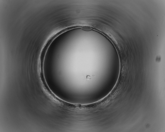 X0000098171080200804241150