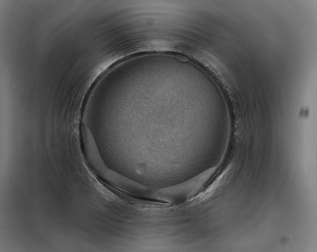 X0000098171081200804241150
