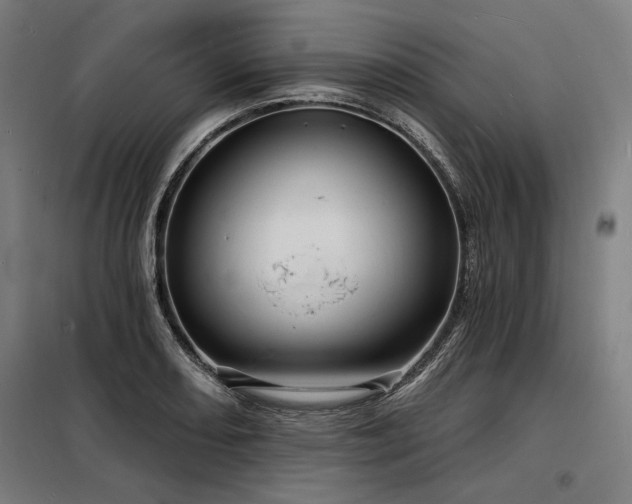 X0000098171082200804241150