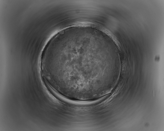 X0000098171083200804241150