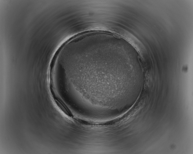 X0000098171084200804241150