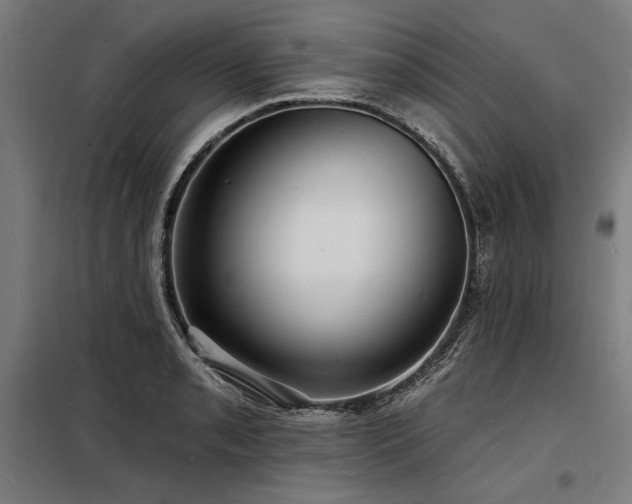 X0000098171085200804241150