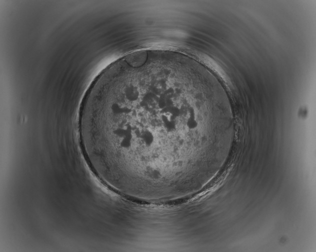 X0000098171087200804241150