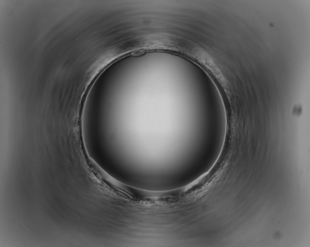 X0000098171089200804241150