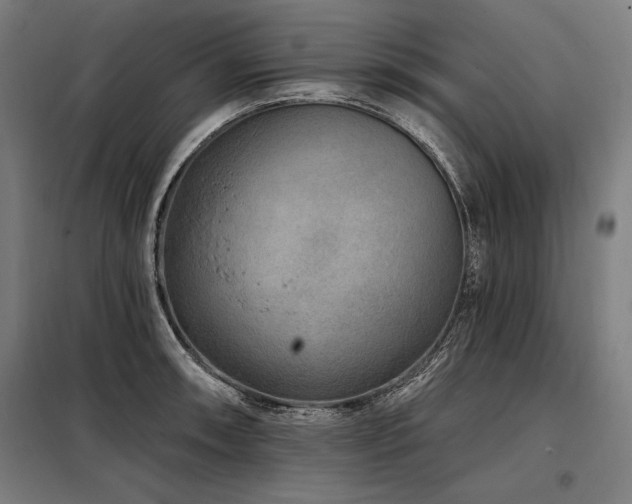 X0000098171090200804241150