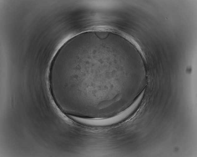 X0000098171091200804241150