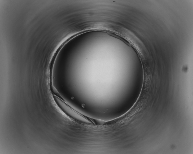 X0000098171092200804241150