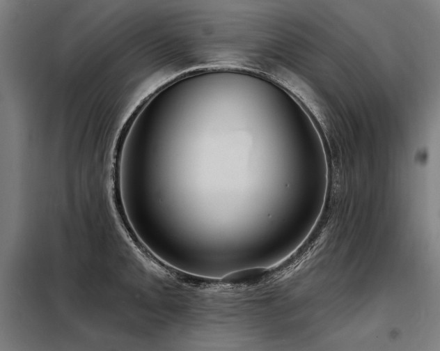 X0000098171093200804241150