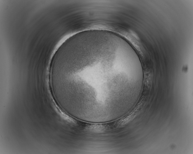 X0000098171094200804241150