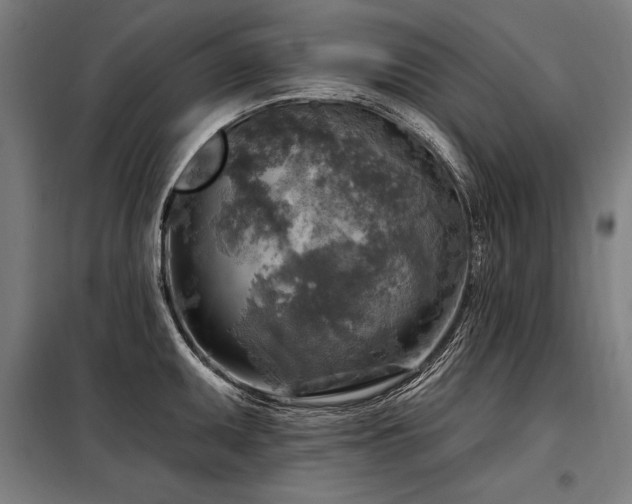 X0000098171095200804241150
