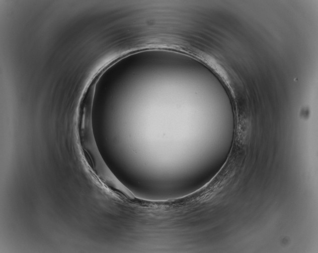 X0000098171096200804241150
