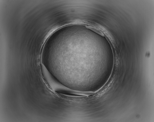 X0000098171097200804241150